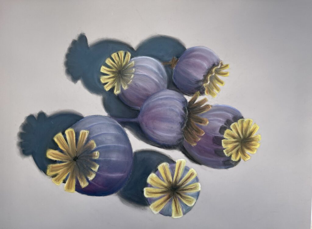 OOPIUMIMOONI KUPRAD